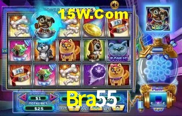 Experimente o Login Seguro Premium no Bra55