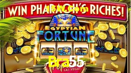 Tecnologia da Plataforma Bra55