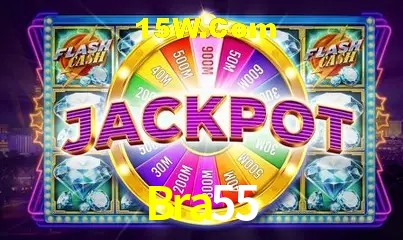 Design Responsivo Bra55