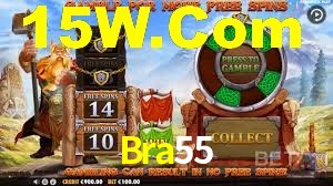 Player Reviews Bra55